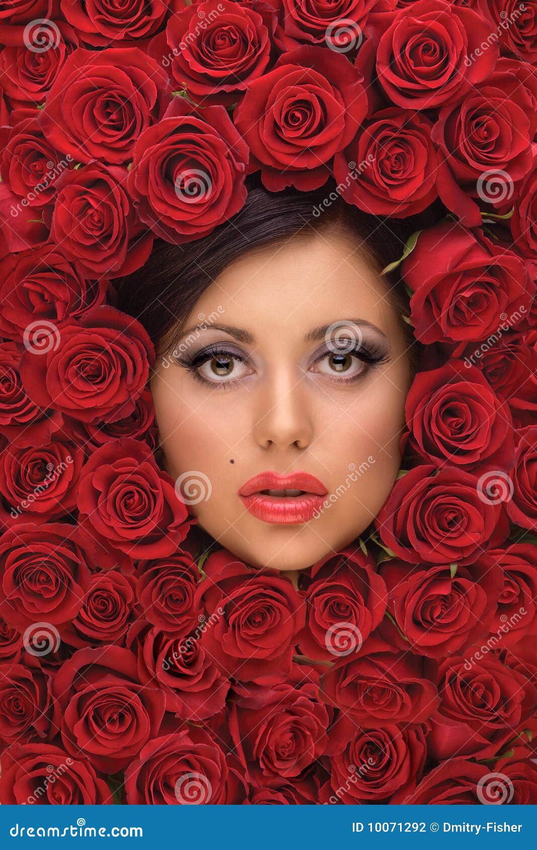 Girl in Red roses stock photo. Image of model, delicate 10071292