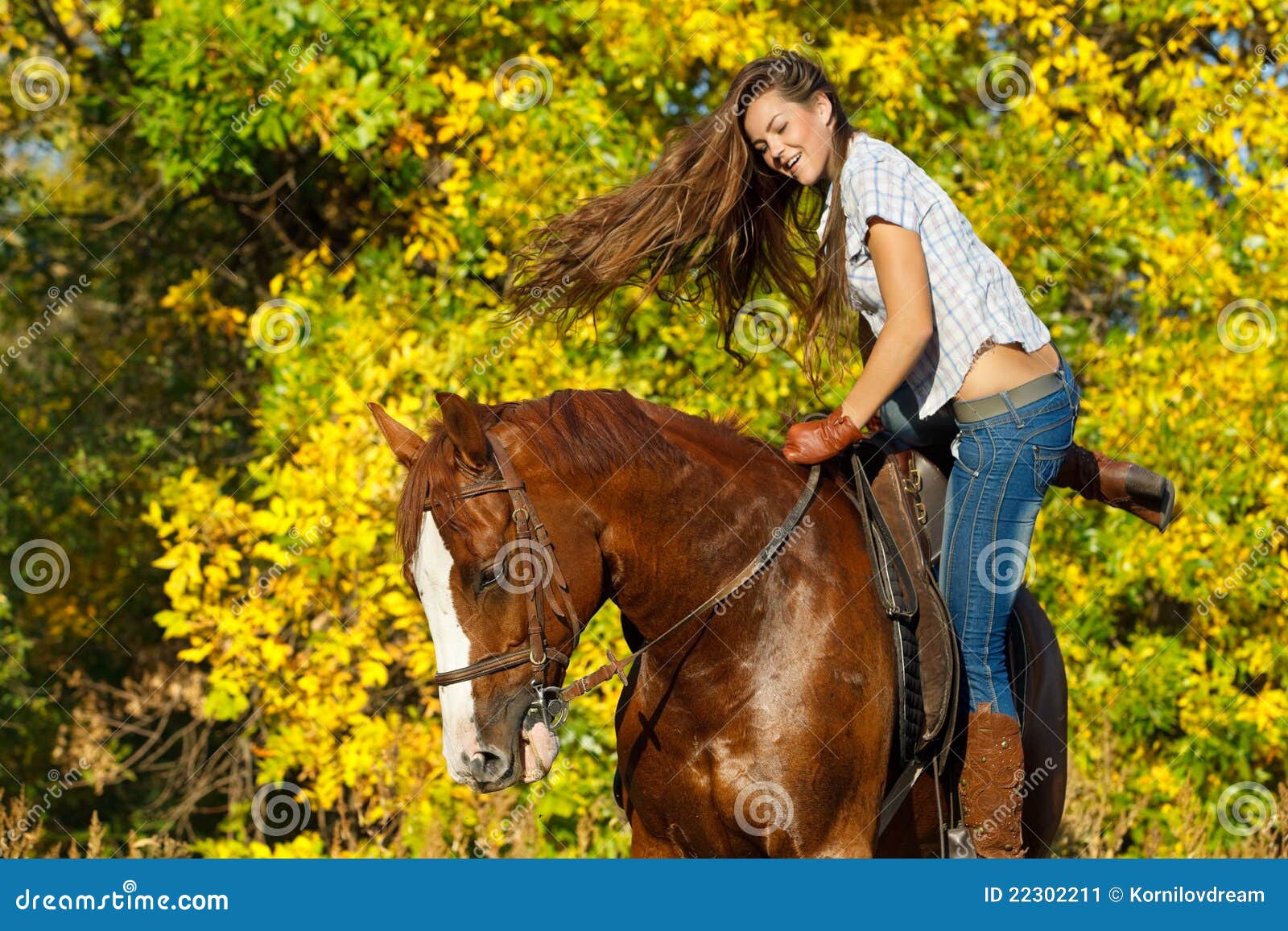 Girl Riding A Horse Stock Image Image Of Animal Br