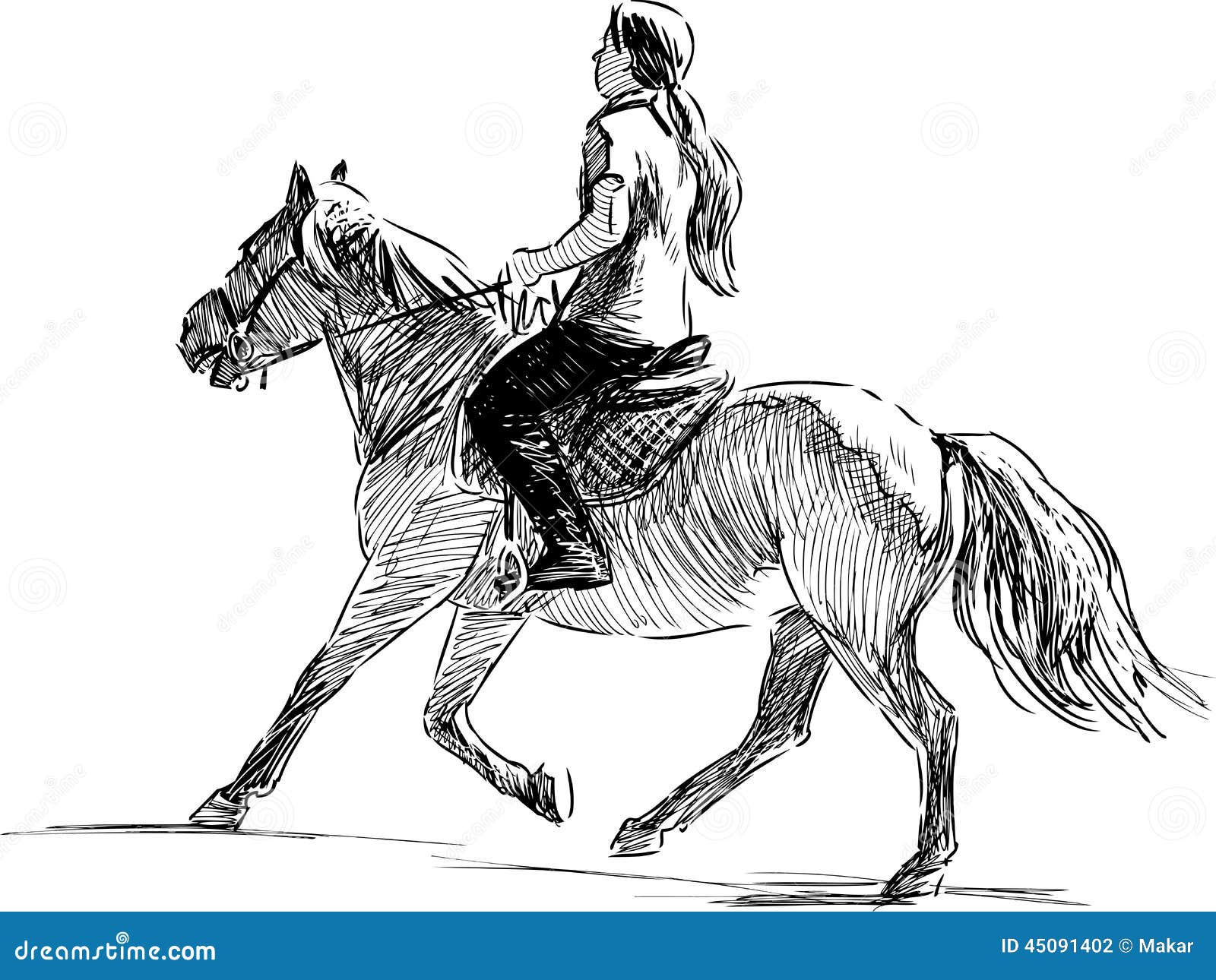 Horse rider line art drawing. equestrian sport training theme il Stock  Vector by ©Ghenadie 122367248