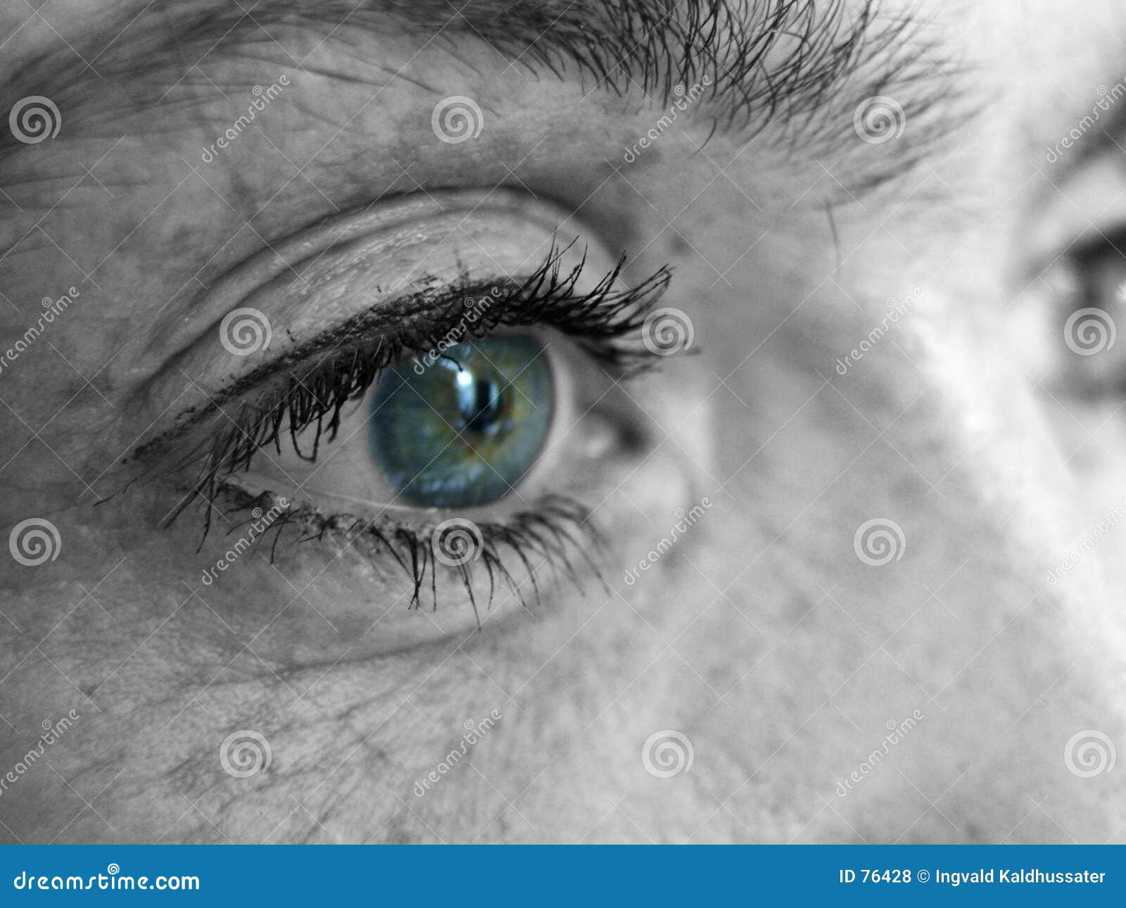 Girl s eye stock photo. Image of class, closeup, fascination 76428