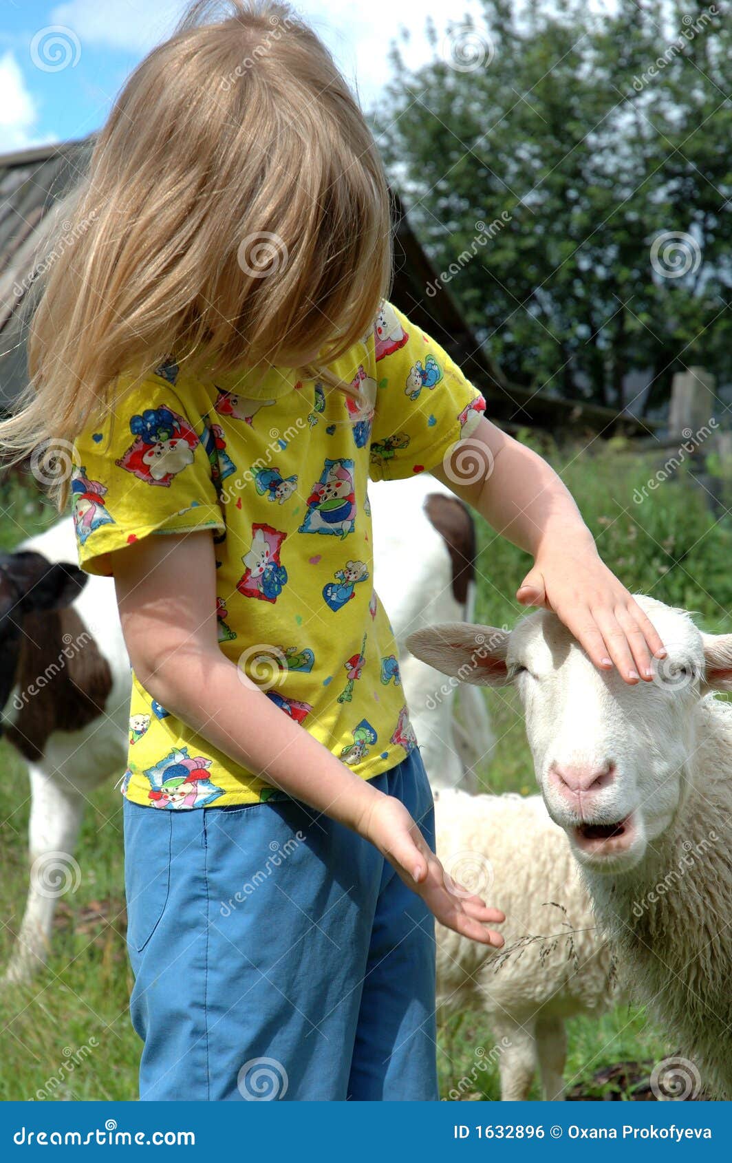 Girl and sheep stock photo. Image of grass, animal, sheep 1632896