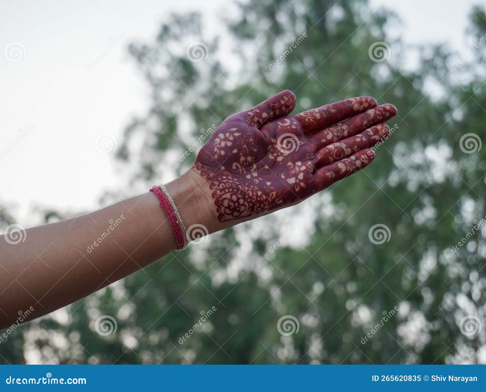 Girl Showing Her Mehandi Design on Hand, Indian Culture, Mehandi Design