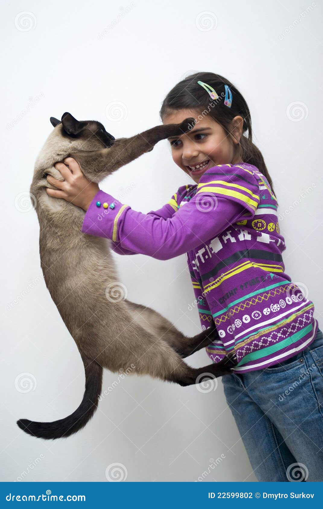 Girl with siamese cat stock photo. Image of female, kitten 22599802