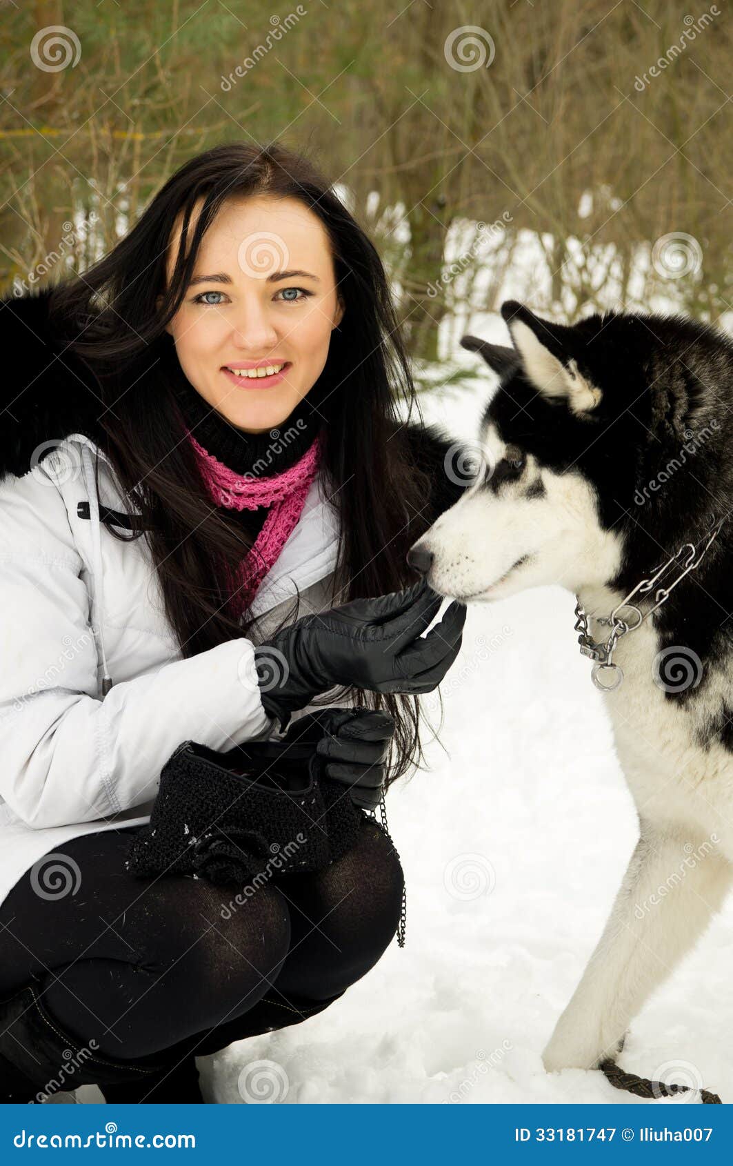 Girl with a Siberian husky stock image. Image of husky 33181747