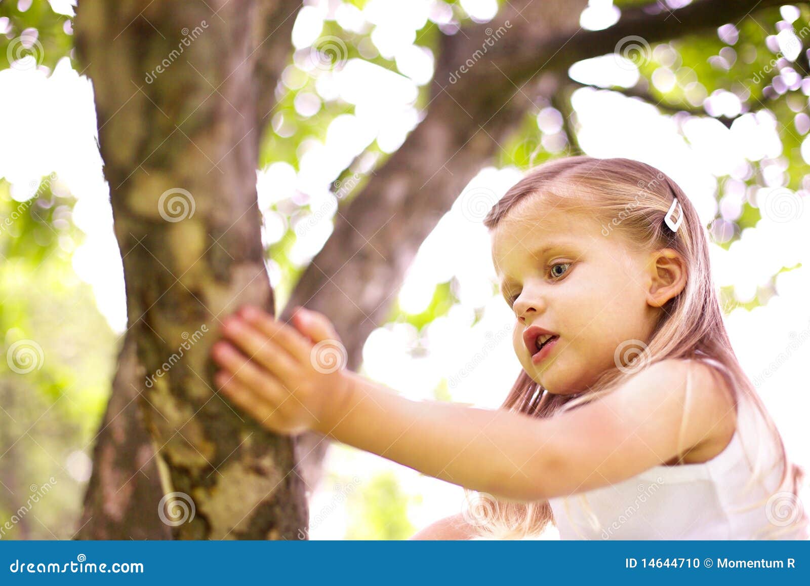 Girl is sitting on tree stock photo. Image of park, childhood - 14644710