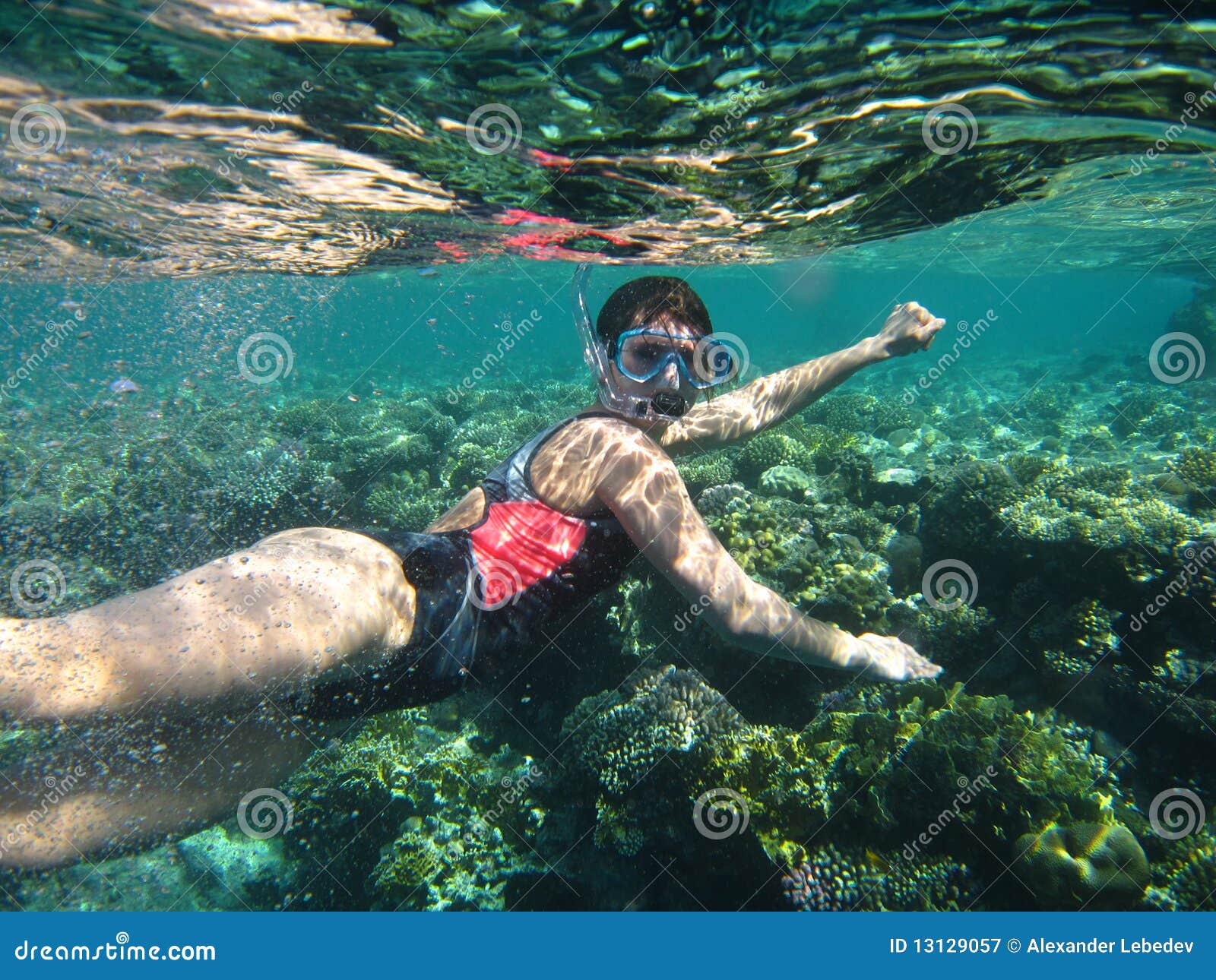 girl snorkeling stock image