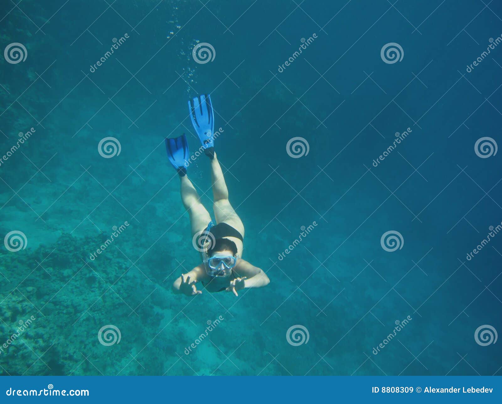 Girl Snorkeling stock image. Image of egypt, snorkeling 8808309