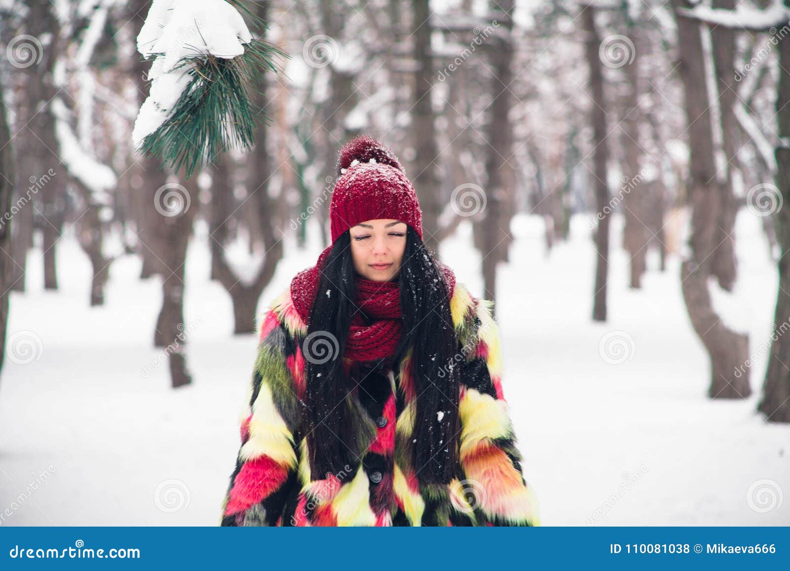 The Girl is Standing Under a Spruce Branch Stock Photo - Image of ...
