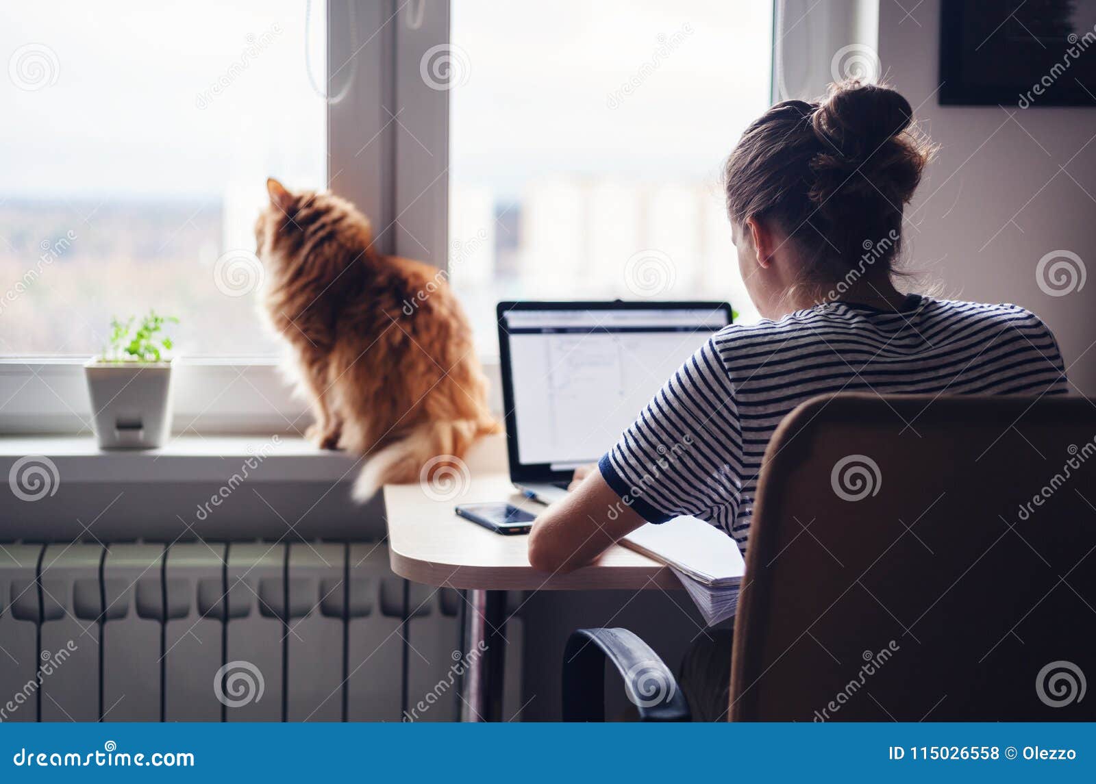 girl student freelancer working at home on a task, the cat is si
