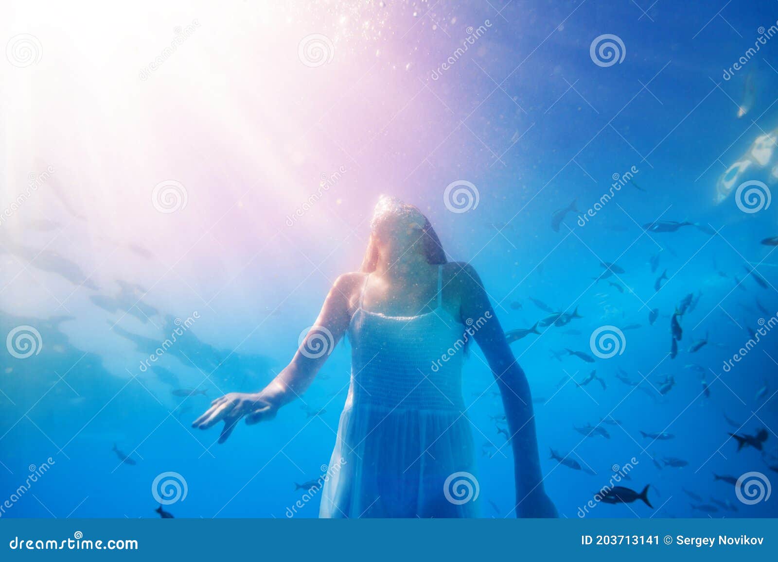 Girl Swim Underwater Pool In Bikini Swimwear Stock Photography ...