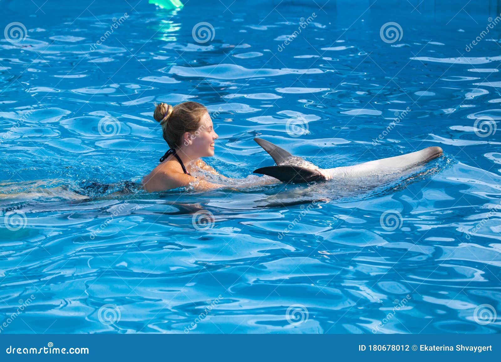 Girl swimming with dolphin stock photo. Image of dolphin 180678012