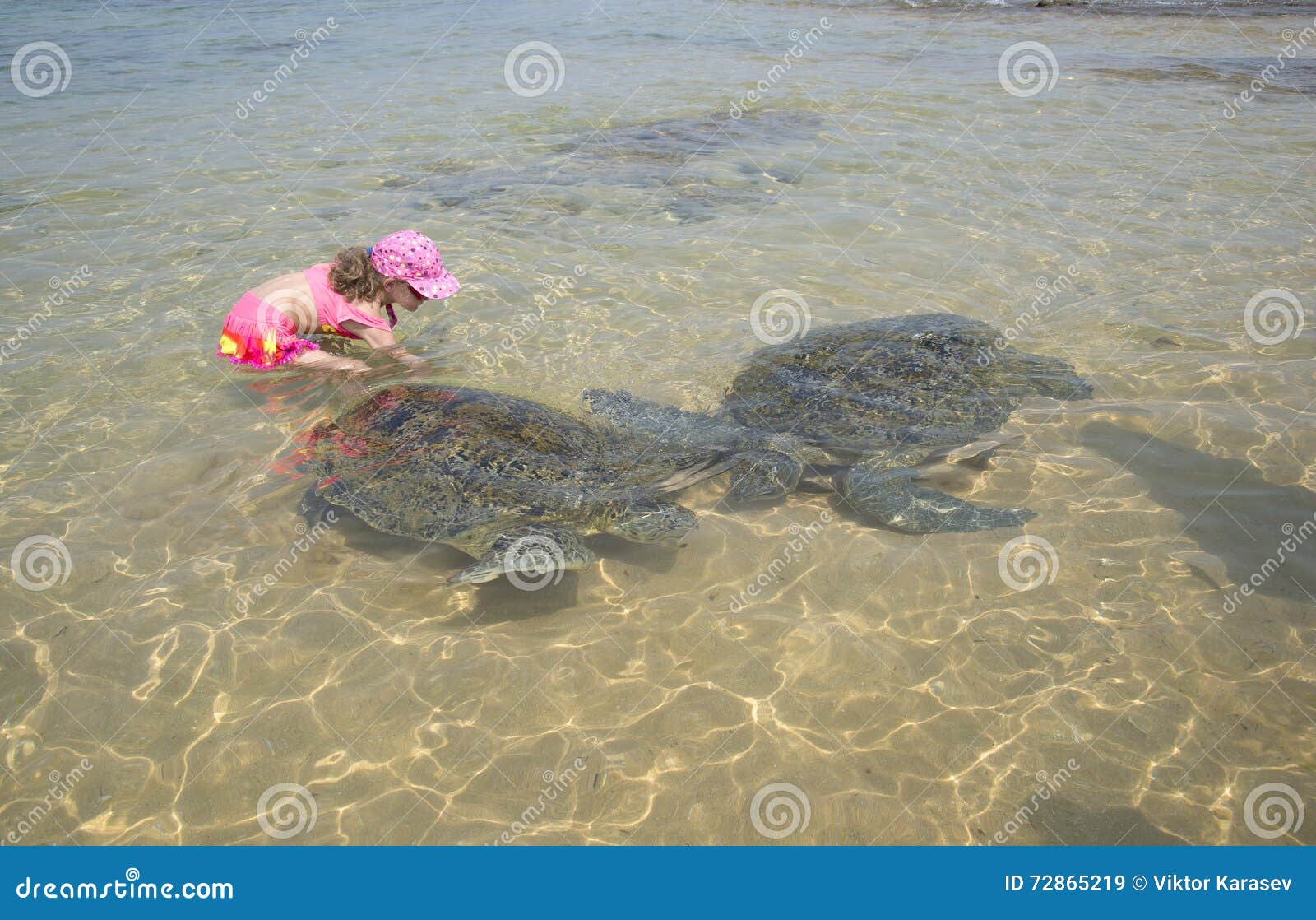 Черепаший пляж шри. Пляж Хиккадува Шри Ланка черепахи. Хиккадува Черепаший пляж. Хиккадува Шри Ланка Черепаший пляж. Хиккадува пляж с черепахами.
