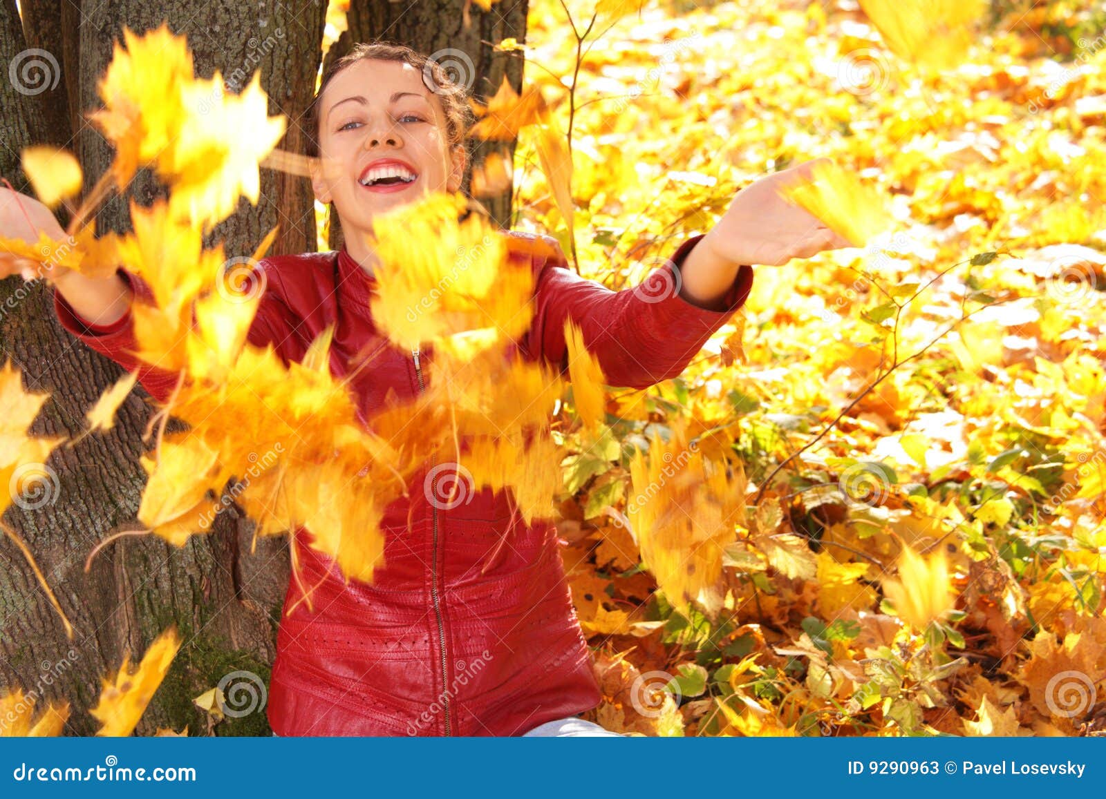Girl Throws Yellow Maple Leaves Stock Image Image of person, forest