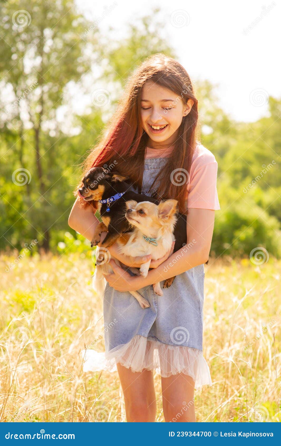 Girl with Two Dogs. Positive Moment Teenager Girl and Chihuahua