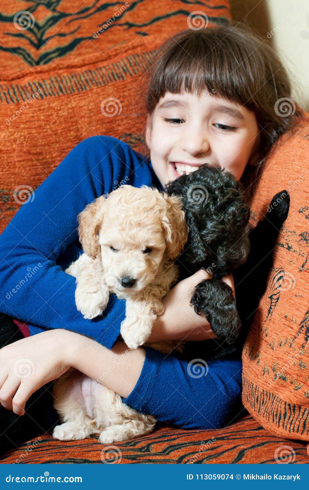 Girl with two puppies stock photo. Image of beautiful - 113059074