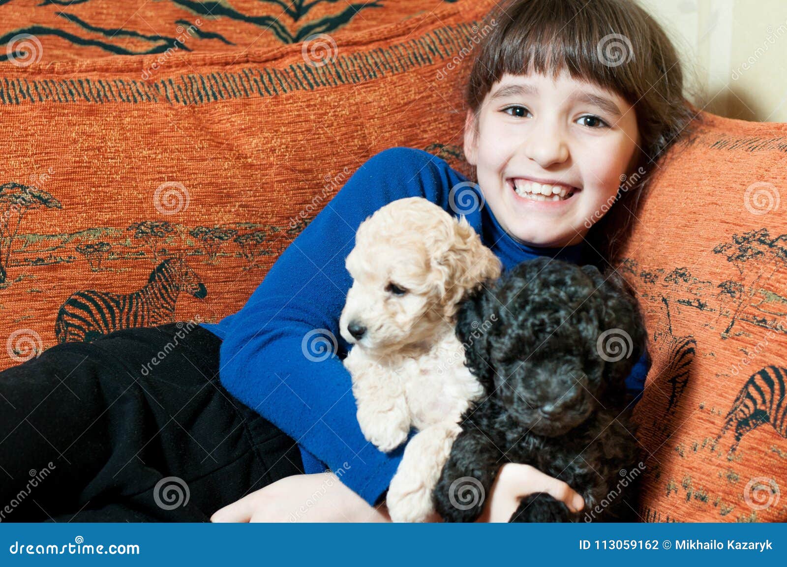 Girl with two puppies stock photo. Image of animal, home - 113059162