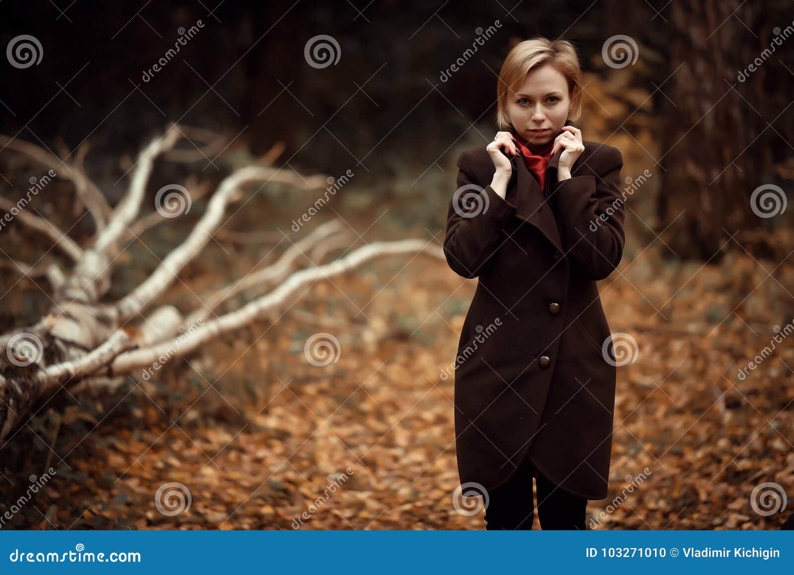 Girl Walking in Autumn Park. Sitting in a Tree. Girl in the Wood Stock ...