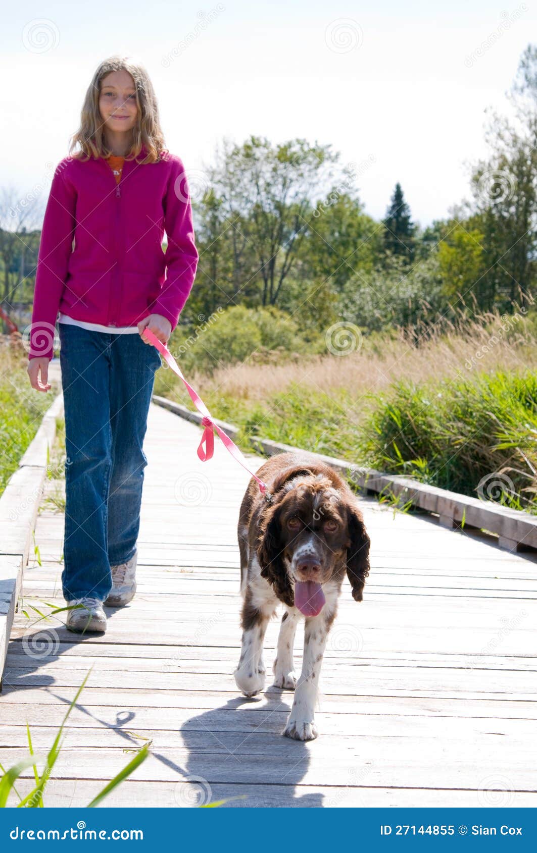 Girl Walking A Dog Royalty Free Stock Photo Image 27144855
