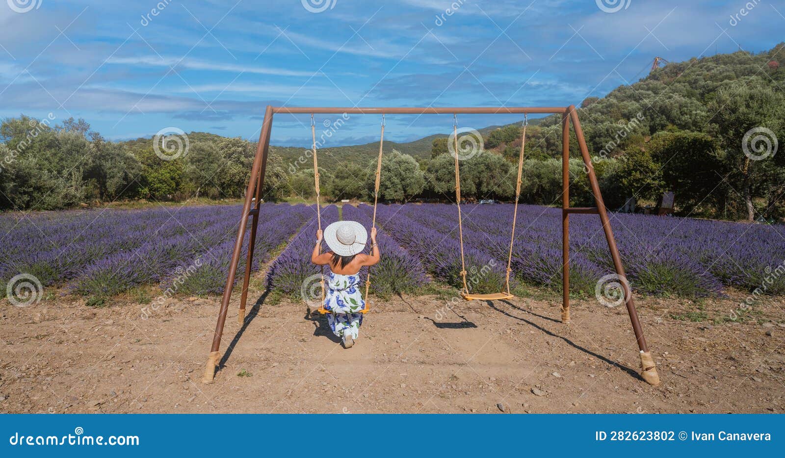 girl in walks in a field of lavender. view from the back, south sardinia