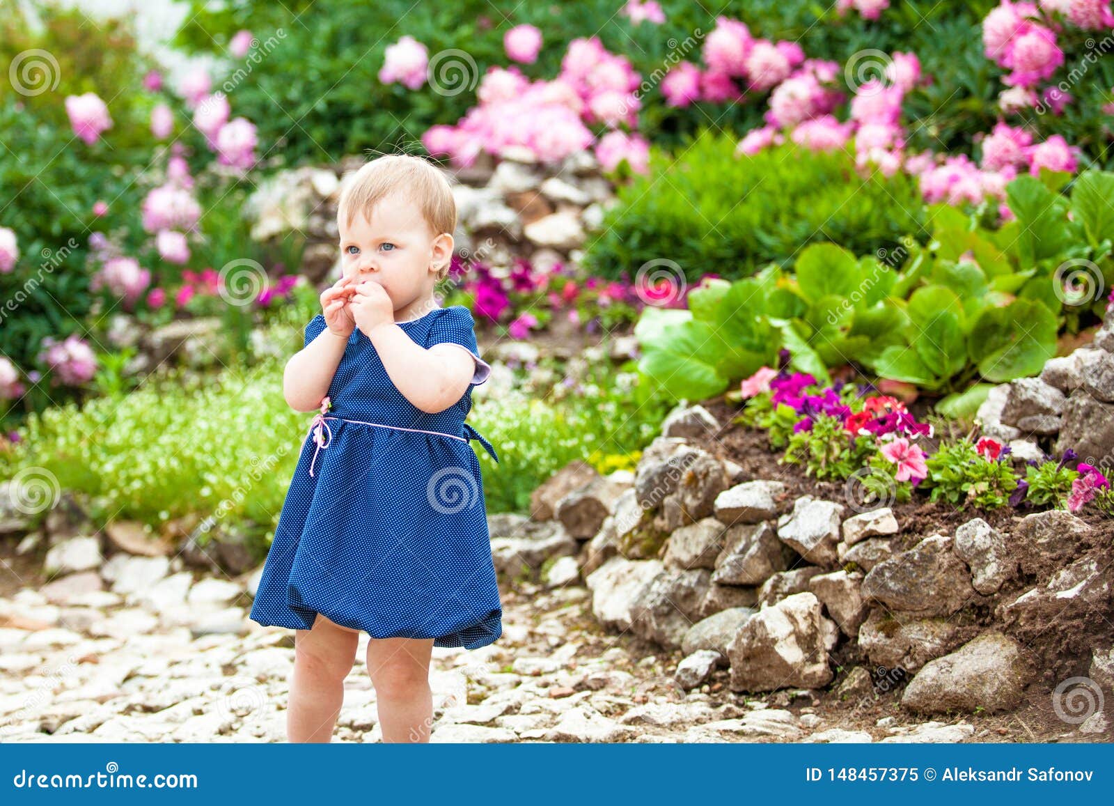 The Eldest Daughter Walks Down The Flower Path Girl Walks in the Park with Flower Beds Stock Image - Image of kids