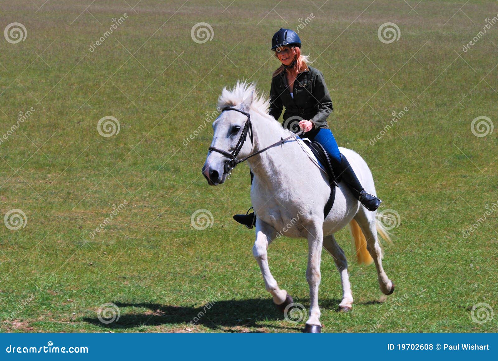 Girl on white horse stock photo. Image of field, trotting 19702608
