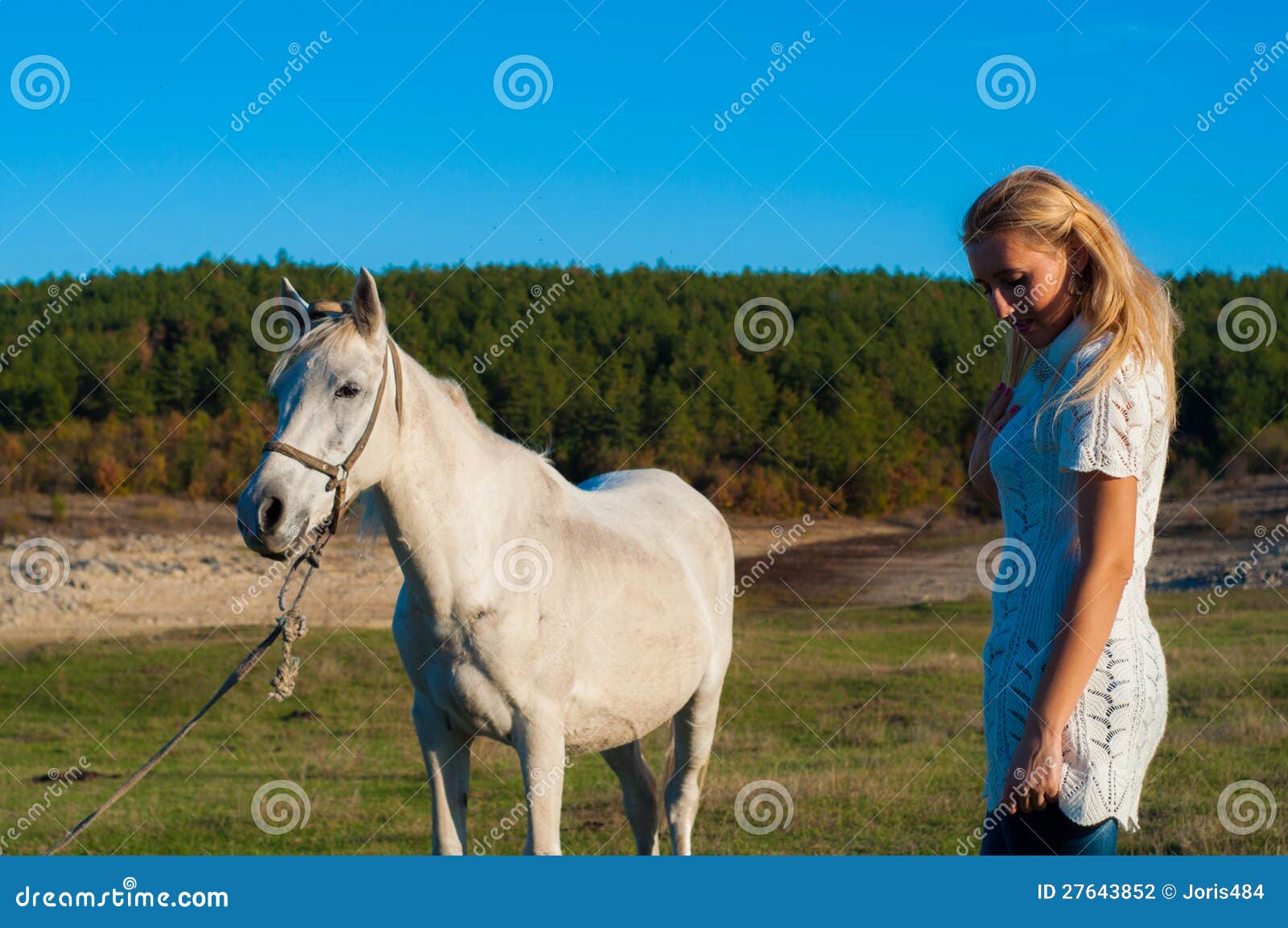 Girl and a white horse stock photo. Image of female, beauty 27643852