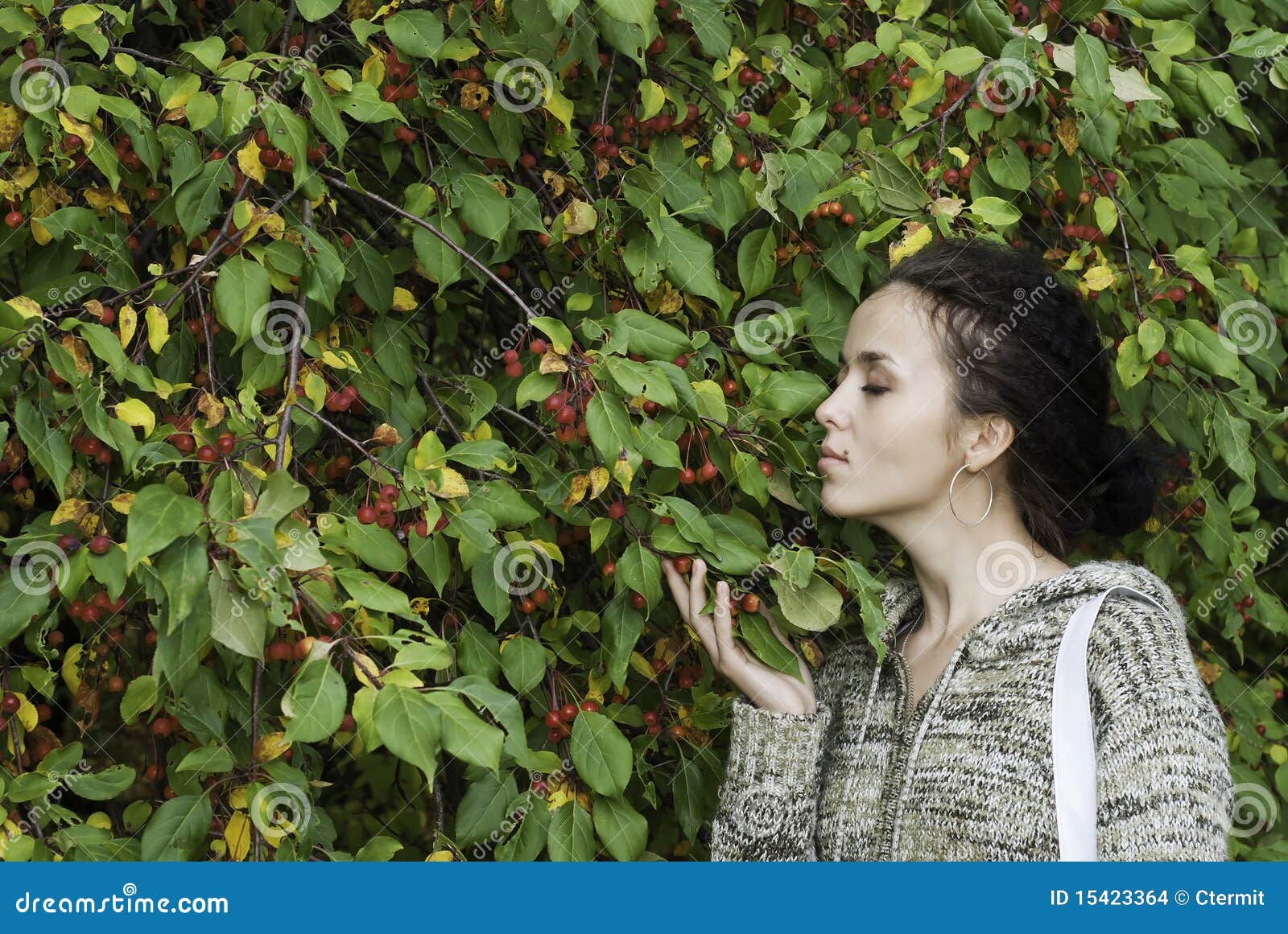 Girl and wild apple tree stock photo. Image of people - 15423364