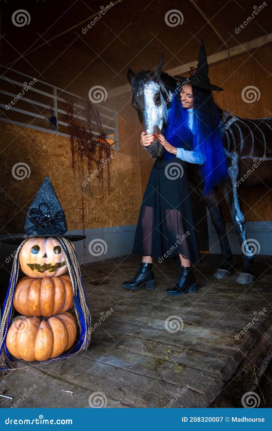A Girl in a Witch Costume Hugs a Horse in a Corral, in the Foreground an Evil Figure of Pumpkins Stock Image - Image of pumpkin, dress: 208320007