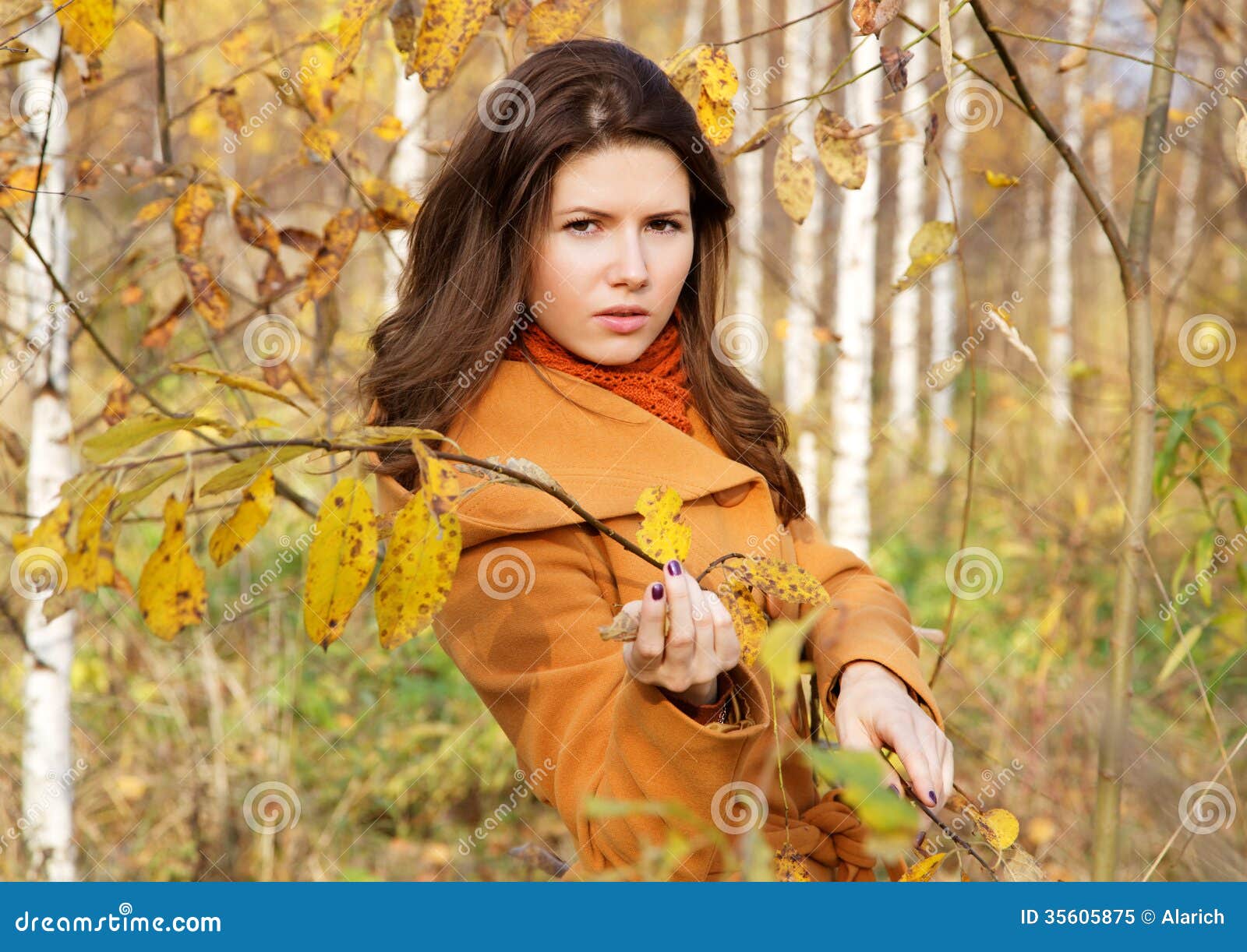 The Girl among Young Birches Stock Image - Image of casual, leisure ...