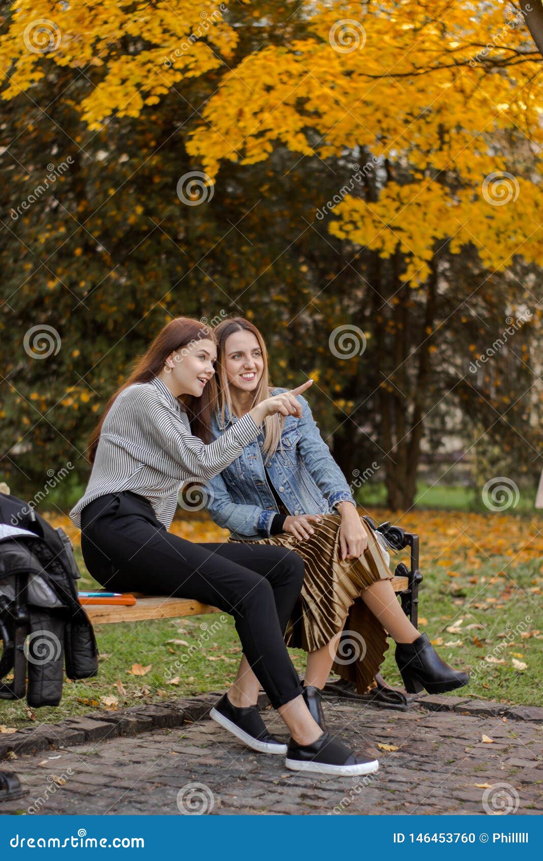 Girlfriends Noticed Something Away Sitting on a Bench in the Autumn ...