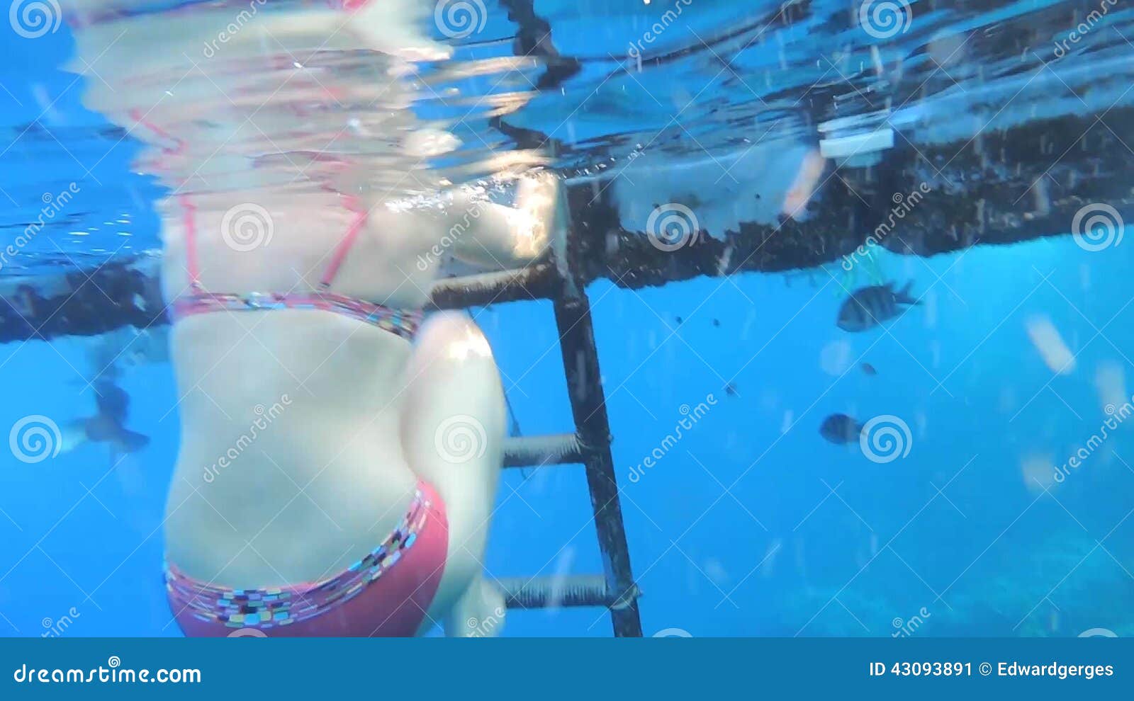 Underwater Bikini Girls