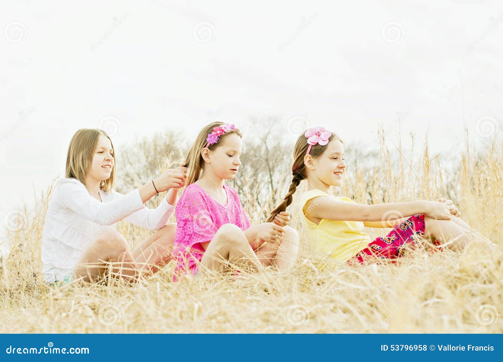 Girls Braiding Hair In Country Meadow Stock Photo Image Of Pretty Three 53796958