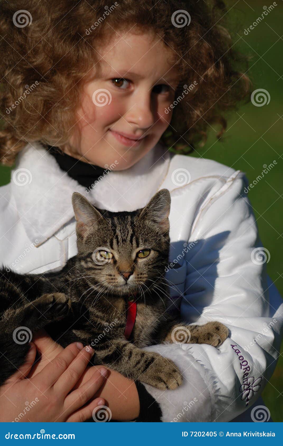 Girls cat stock image. Image of cute, kitten, small, little 7202405