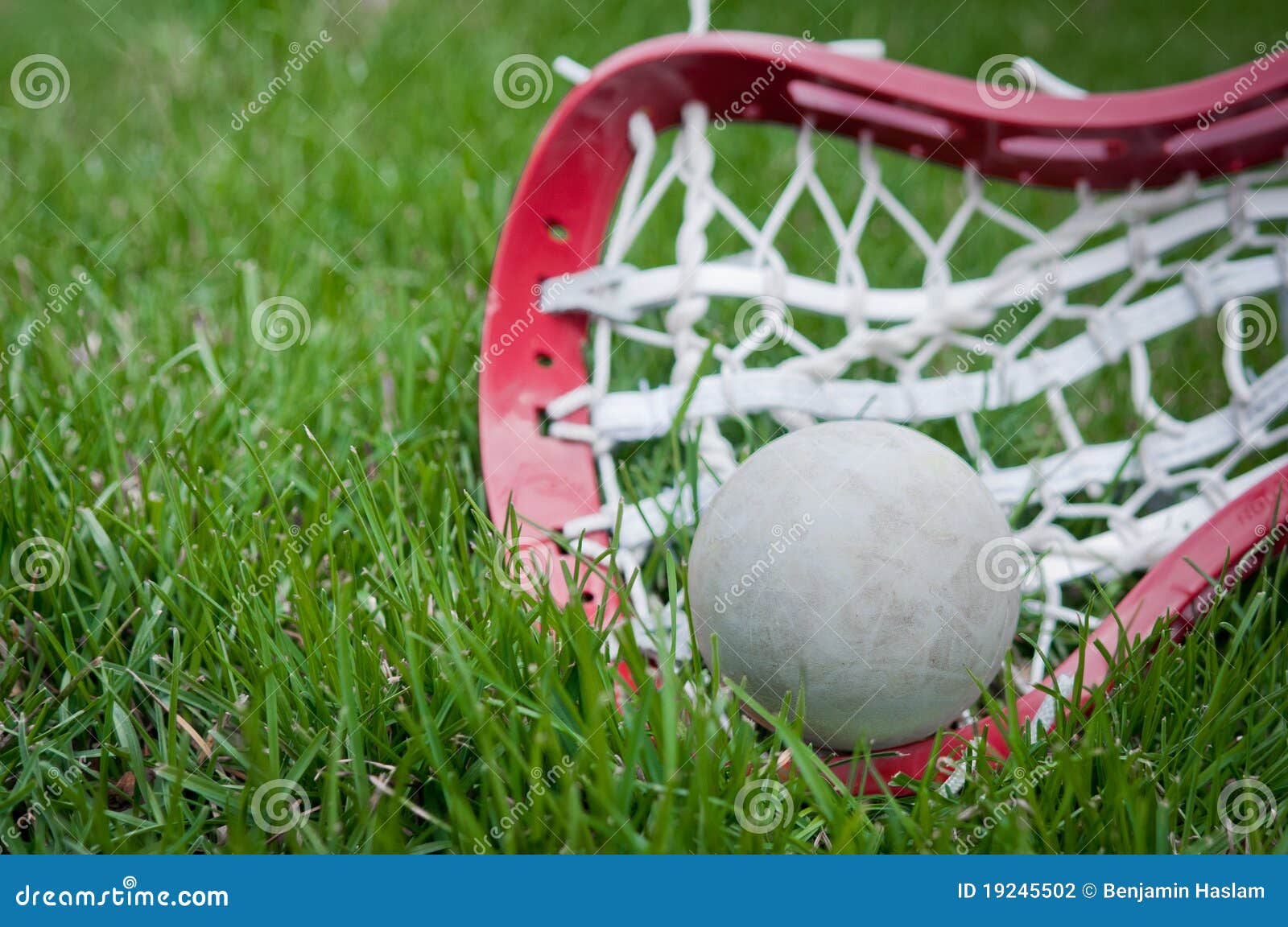 Girls Lacrosse Head And Grey Ball On Grass Stock Photography Image