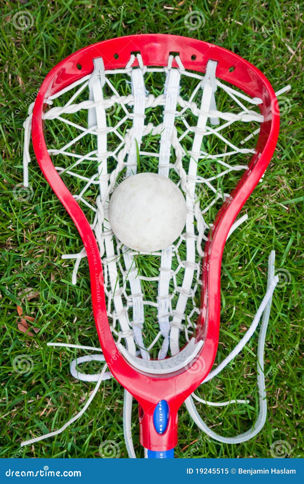 Girls Lacrosse Head and Grey Ball on Grass Stock Image Image of sport