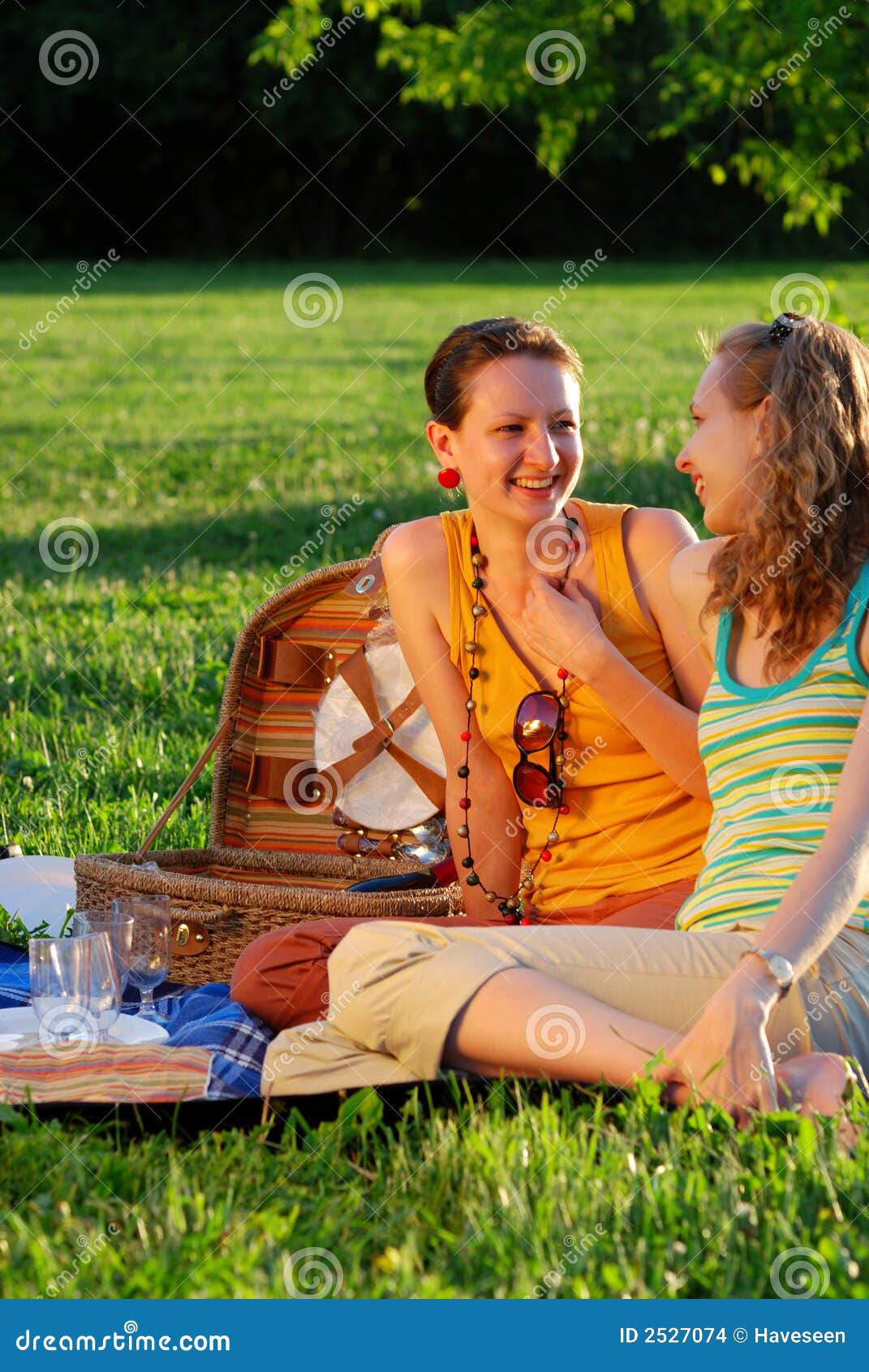 Girls On Picnic Stock Images Image 2527074