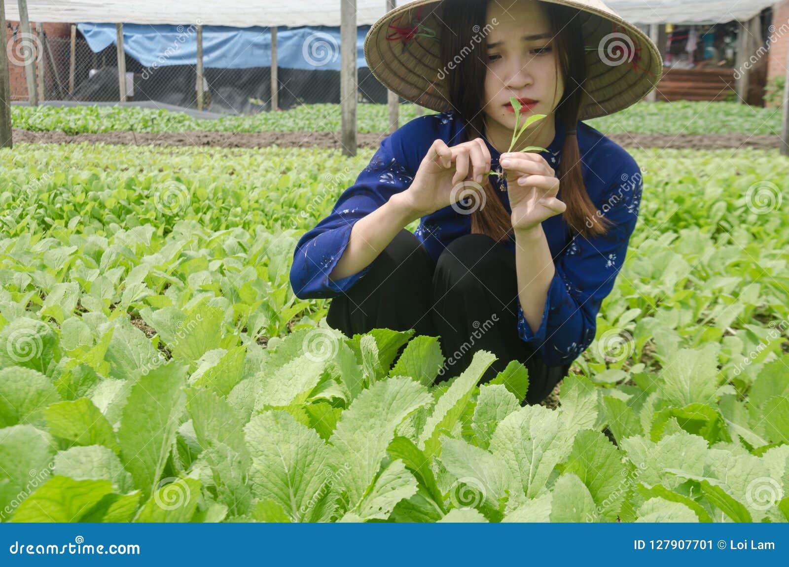 Girls Take Care of Vegetables. Editorial Photo - Image of favorite