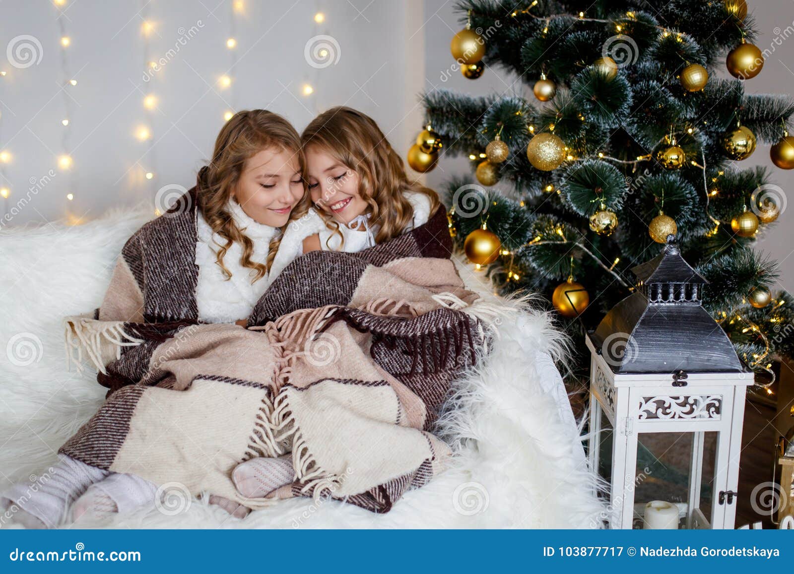 Girls twins in front of the fir tree