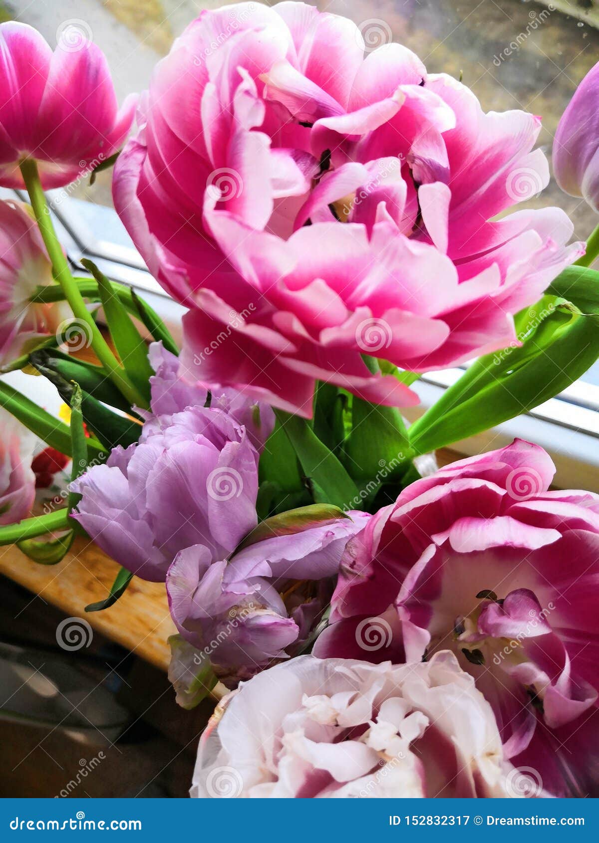 Girly flowers stock image. Image of girly, flower, plant 152832317