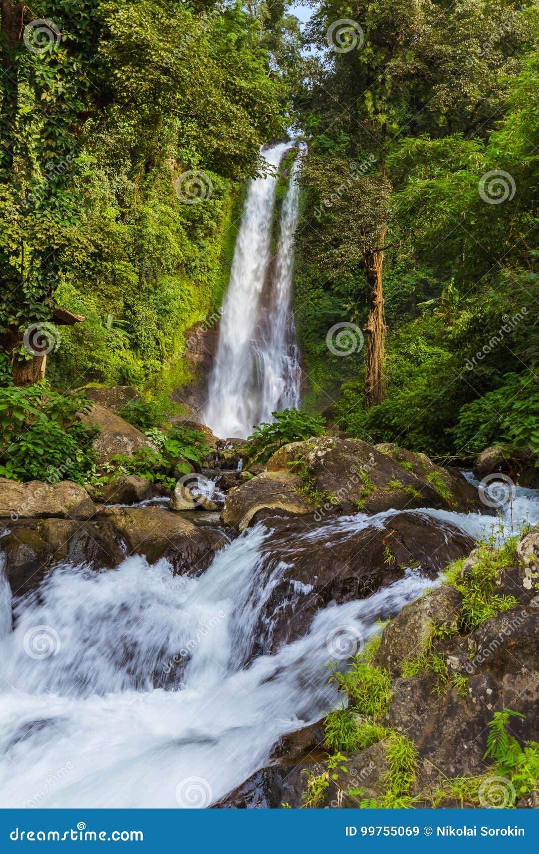 gitgit waterfall - bali island indonesia