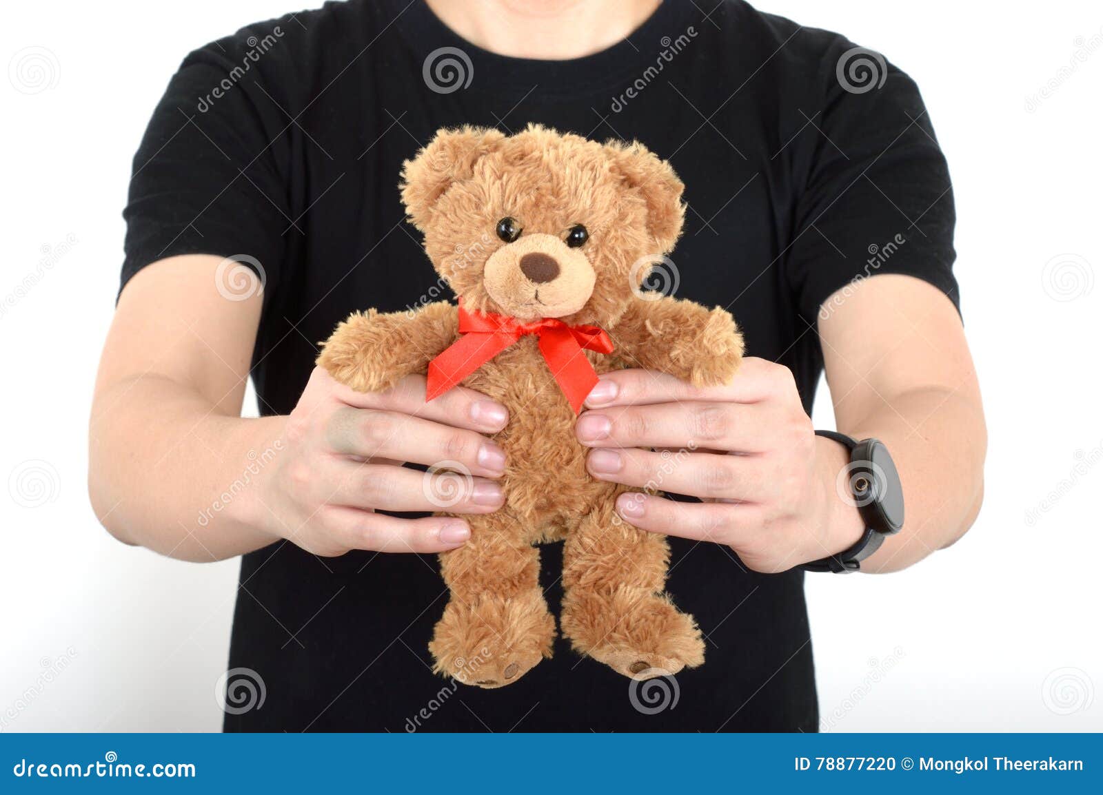 Give Bear Teddy Men Man Boy White Background Stock Photo Image of