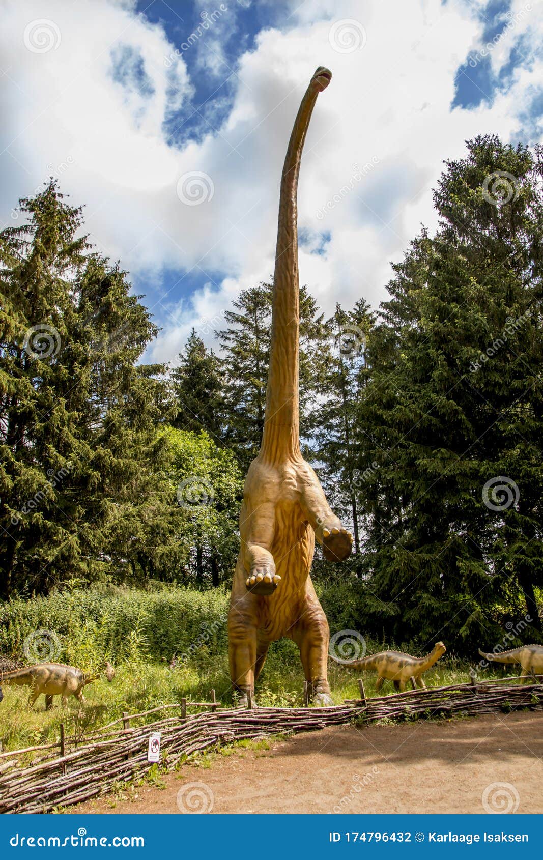  Dinosaurs  By Nature  Believe Sizes As They Were When They 