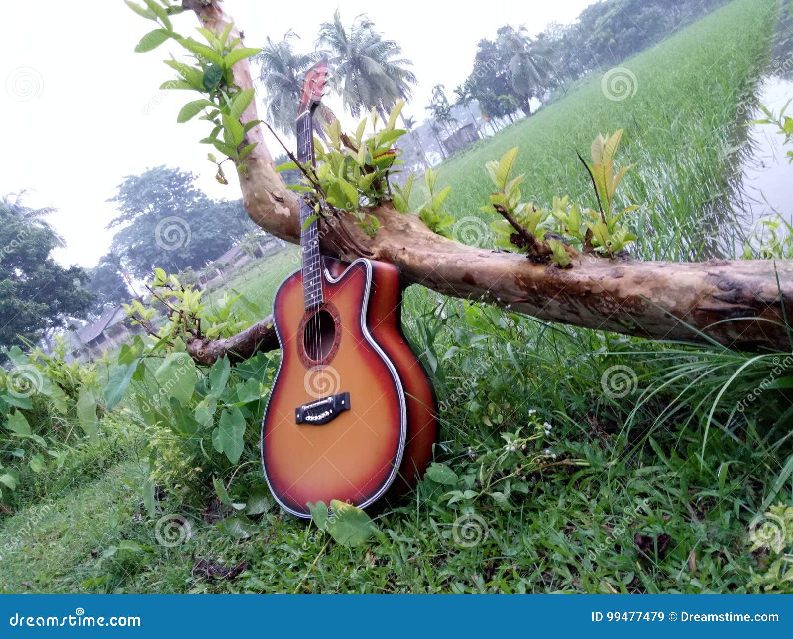 Givson Guitar. stock image. Image of moment, guitar, love - 99477479