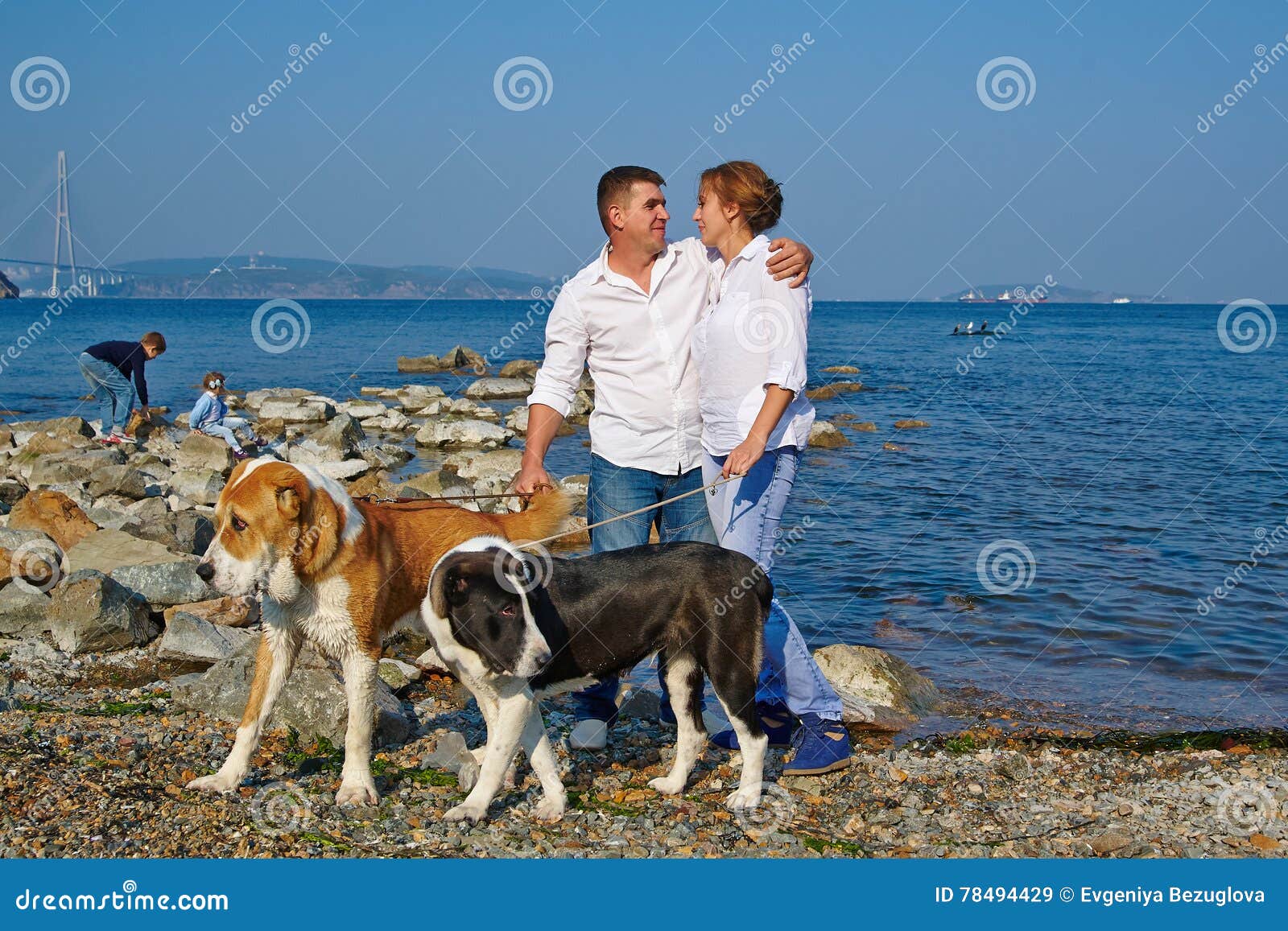 Gluckliche Familie Mit Zwei Kindern Zwei Grosse Hunde Fur Einen Weg An Der Kuste Stockbild Bild Von Kuste Hunde
