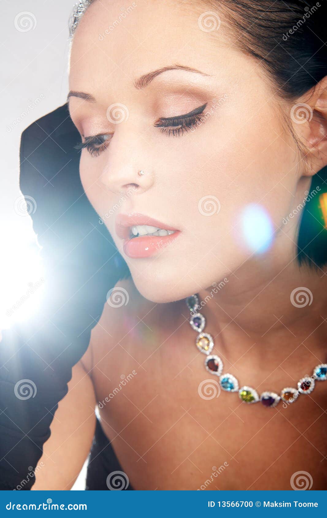 Glamorous lady stock photo. Image of female, dark, lady - 13566700