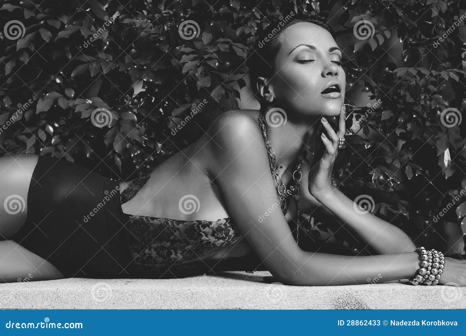 Glamorous Lady in Lace Leotard Stock Image - Image of exotic, lady
