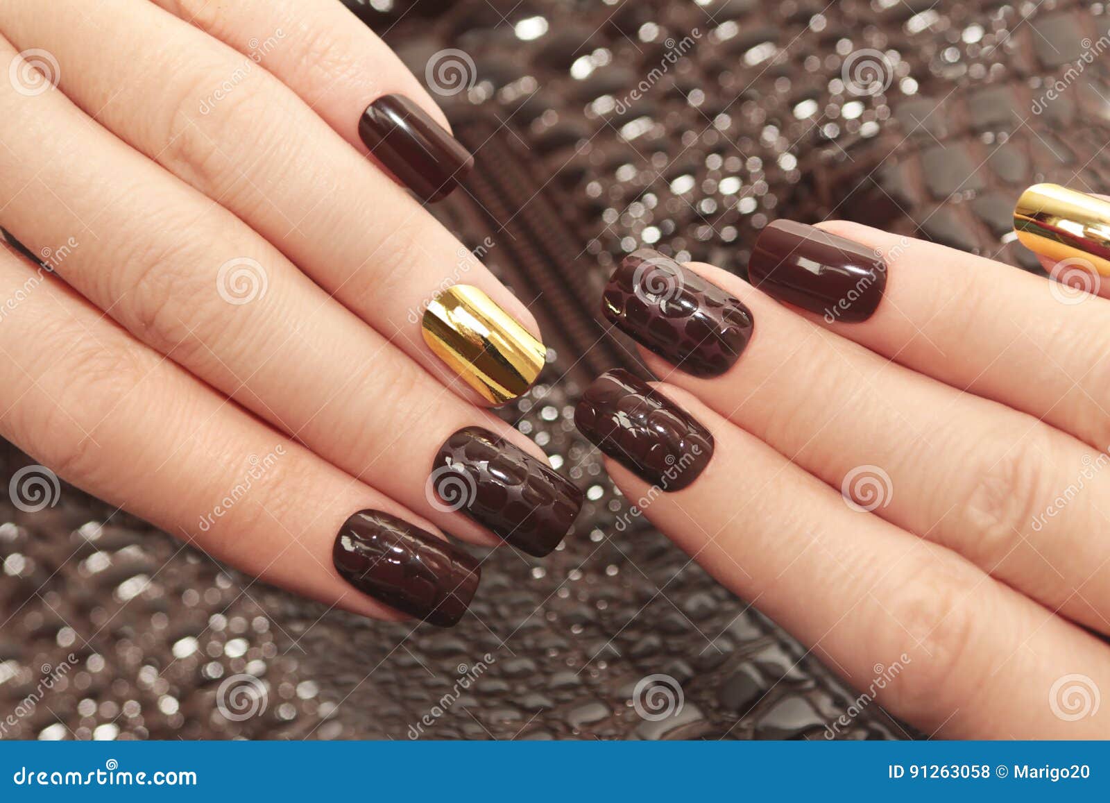 Glamorous Luxurious Brown Crocodile Manicure. Stock Photo - Image of ...