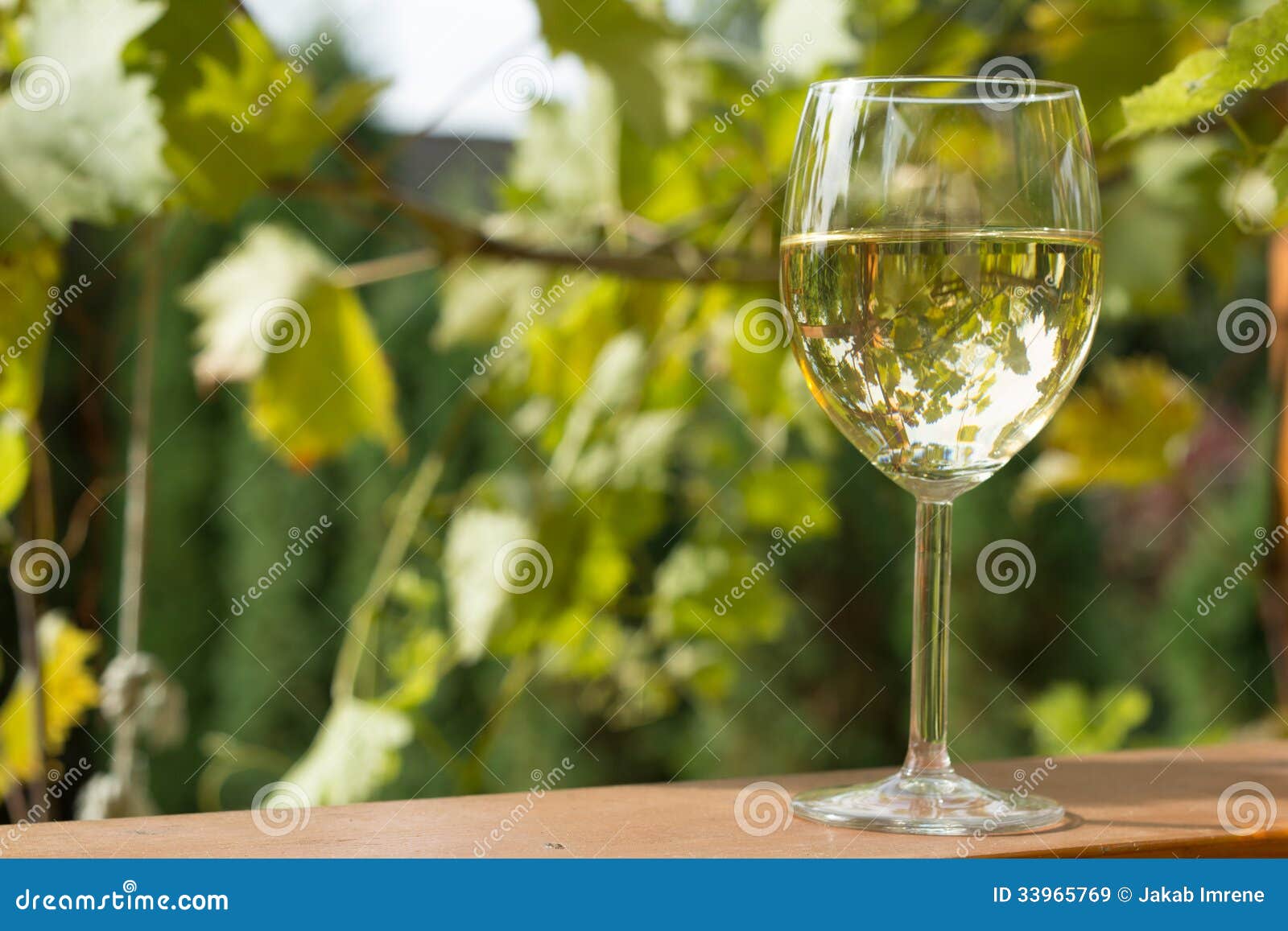 Glas Wein Im Garten Stockbild Bild Von Paare Berg Herbst 33965769