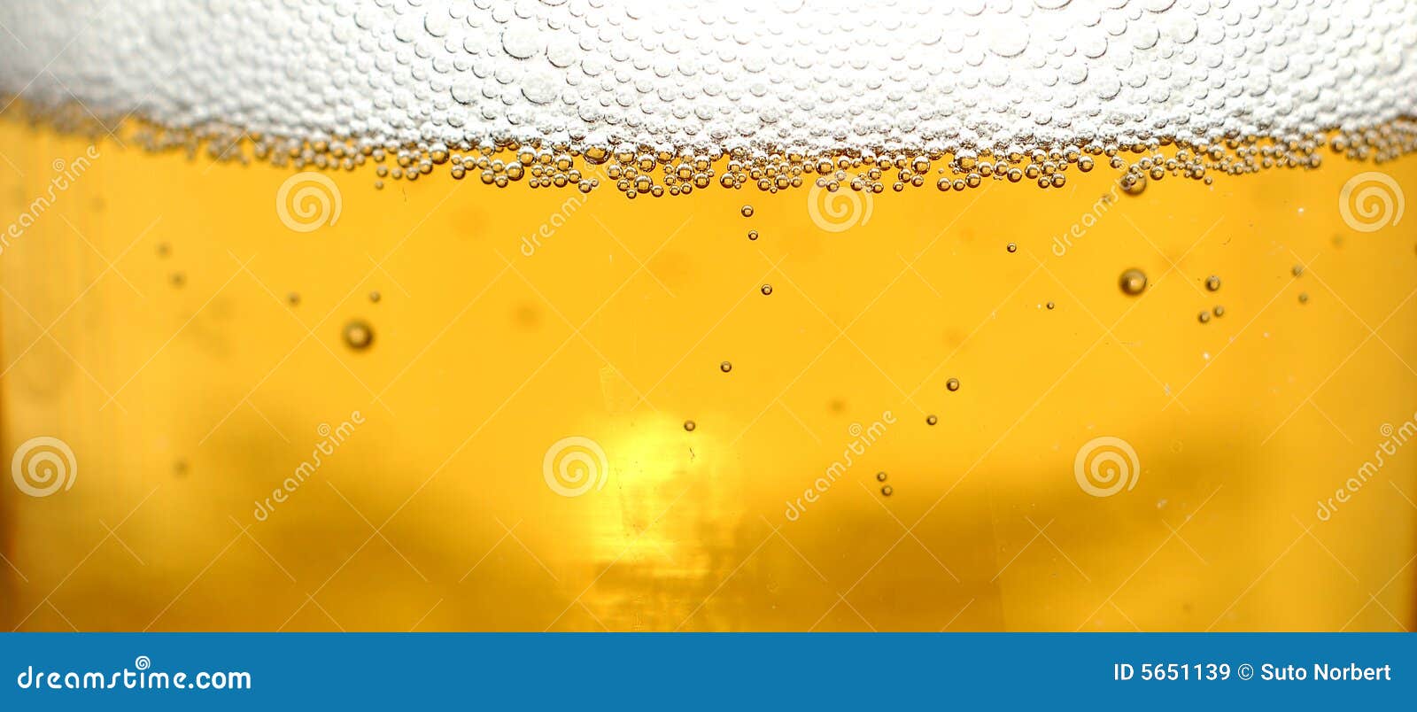 Glass of Beer Closeup with Bubbles Stock Image Image of brew, foam