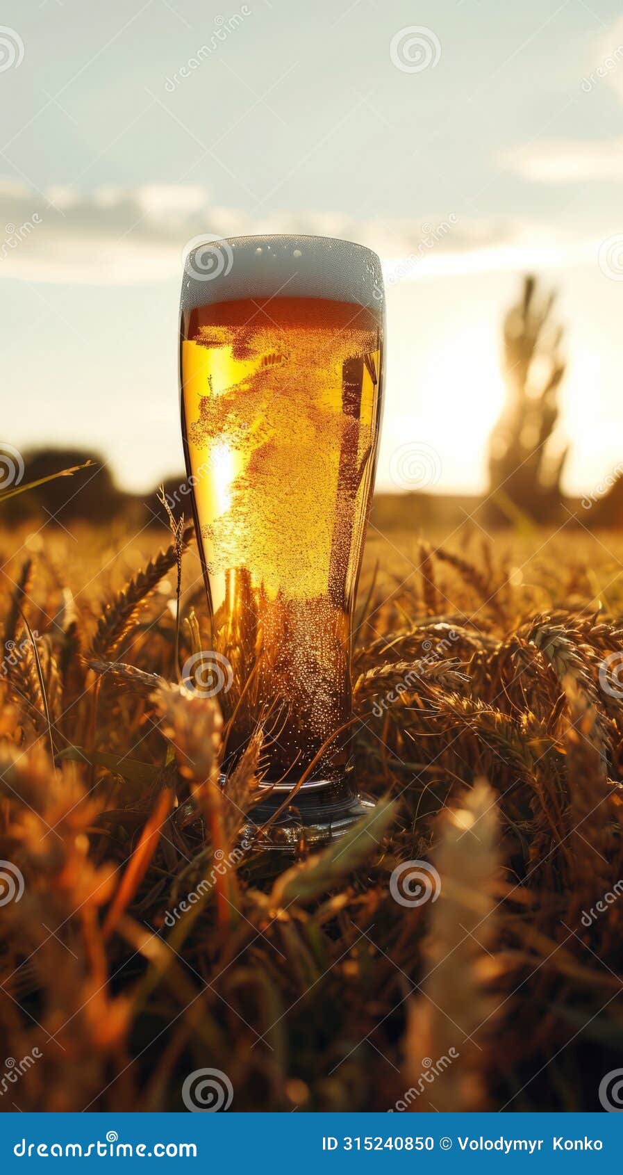 glass of beer in field, refreshing beverage amidst natural surroundings